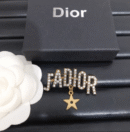 Dior brooch(zixi)