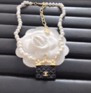 Chanel necklace (lihuizi)