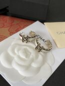 Chanel earrings （小金鱼）