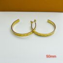 LV earrings （梓曦）